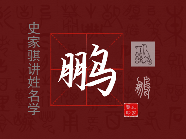 鹏.png